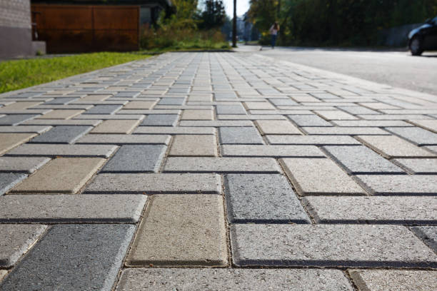 Best Asphalt Driveway Paving in Rice, MN